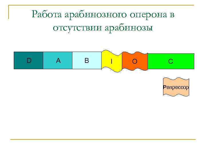 Работа арабинозного оперона в отсутствии арабинозы D A B I O C Репрессор 