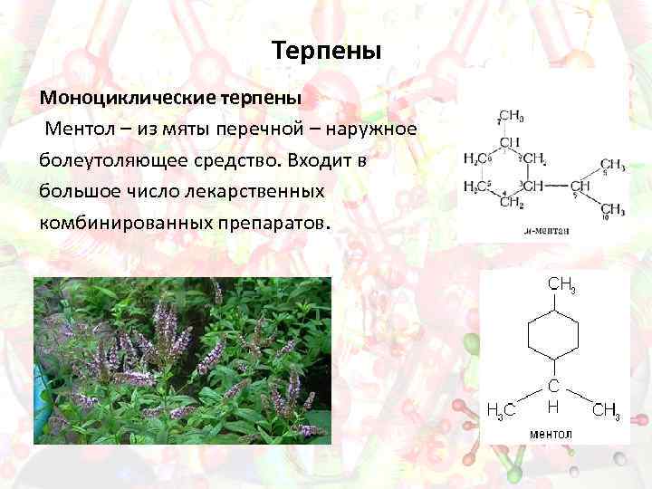 Терпены Моноциклические терпены Ментол – из мяты перечной – наружное болеутоляющее средство. Входит в