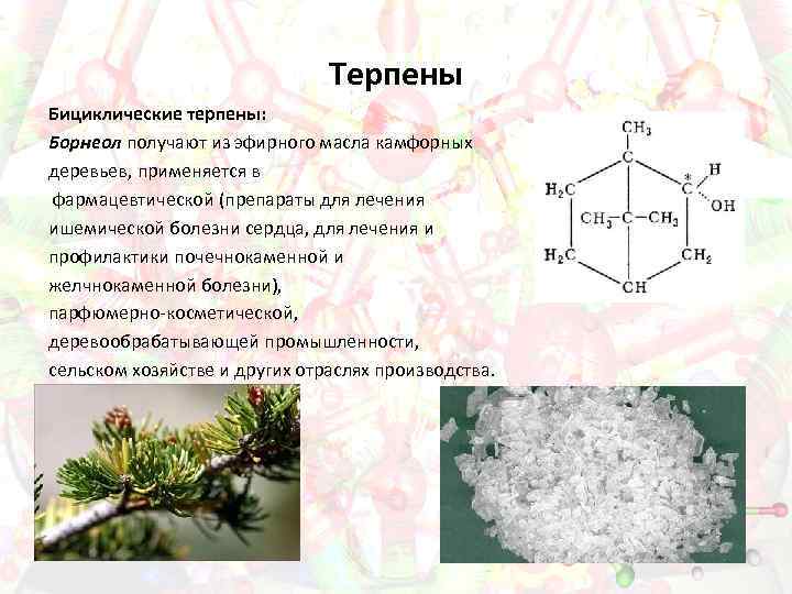 Терпены Бициклические терпены: Борнеол получают из эфирного масла камфорных деревьев, применяется в фармацевтической (препараты