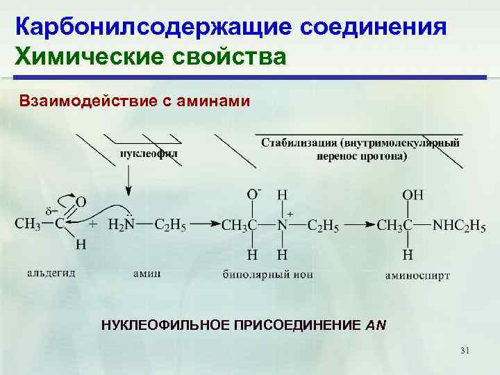 Карбонилсодержащие соединения Химические свойства Взаимодействие с аминами НУКЛЕОФИЛЬНОЕ ПРИСОЕДИНЕНИЕ AN 31 