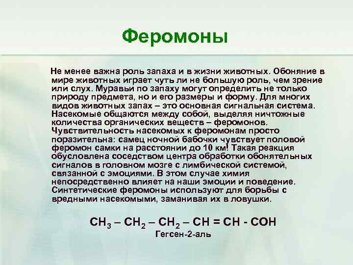 Феромоны Не менее важна роль запаха и в жизни животных. Обоняние в мире животных