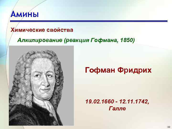 Амины Химические свойства Алкилирование (реакция Гофмана, 1850) Гофман Фридрих 19. 02. 1660 - 12.