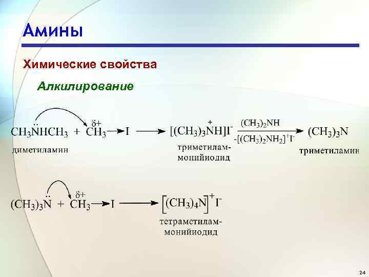 Амины Химические свойства Алкилирование 24 