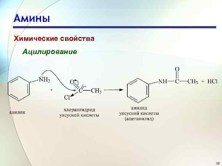 Амины Химические свойства Ацилирование 25 