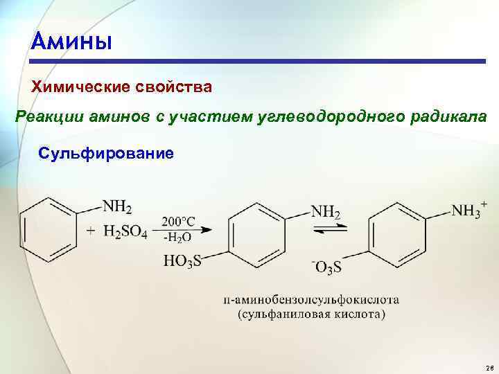 Амины Химические свойства Реакции аминов с участием углеводородного радикала Сульфирование 28 