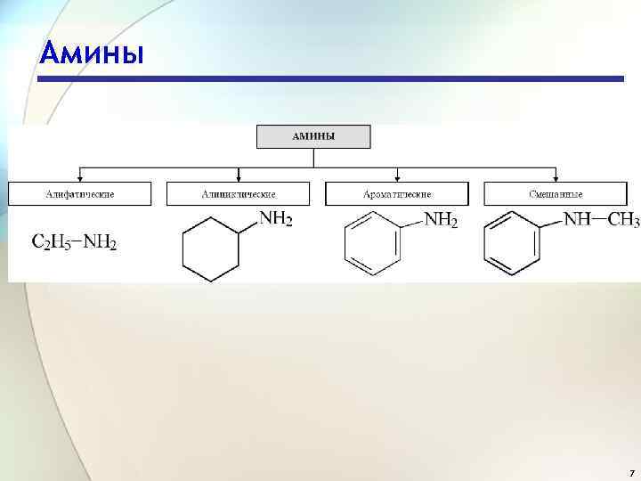 Амины 7 