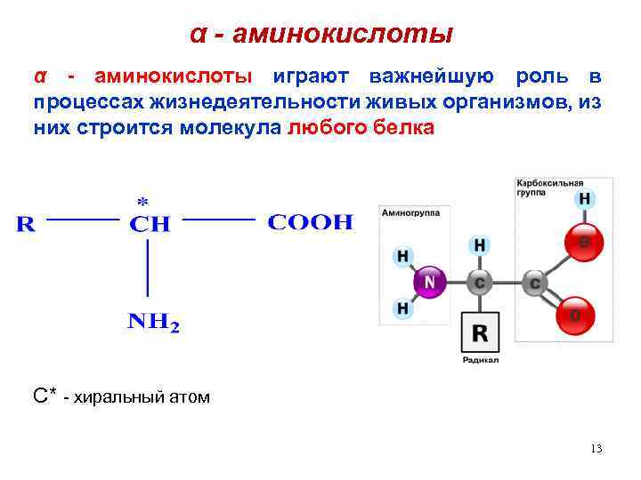 Аминокислоты картинки химия