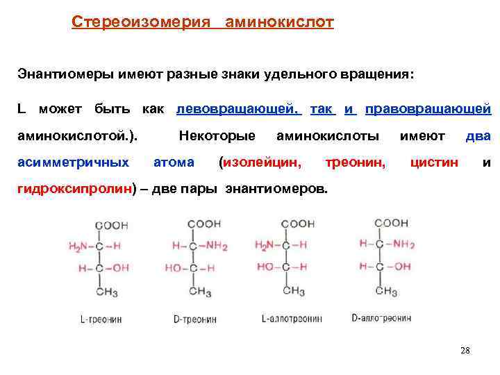 Изолейцин что это