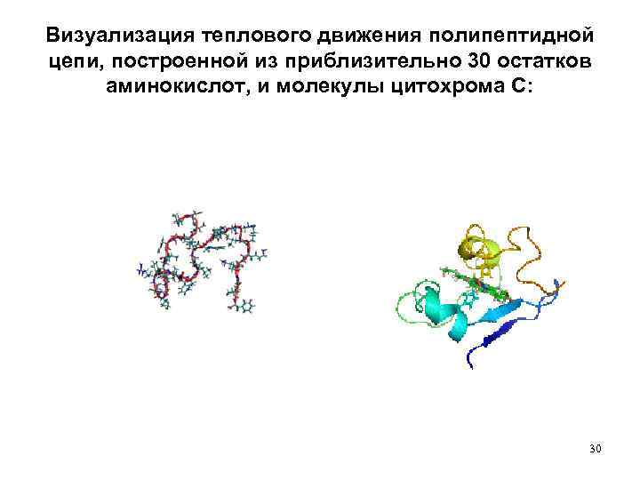 Визуализация теплового движения полипептидной цепи, построенной из приблизительно 30 остатков аминокислот, и молекулы цитохрома