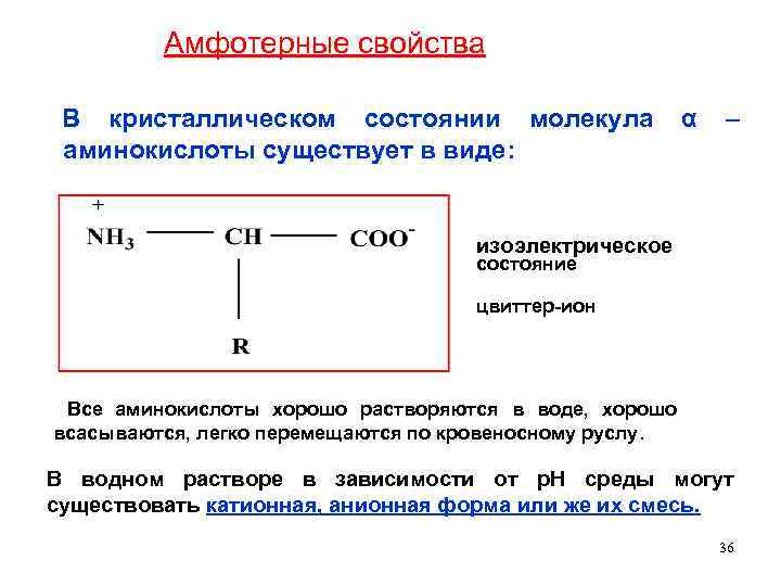 Амфотерные свойства В кристаллическом состоянии молекула α – аминокислоты существует в виде: изоэлектрическое состояние