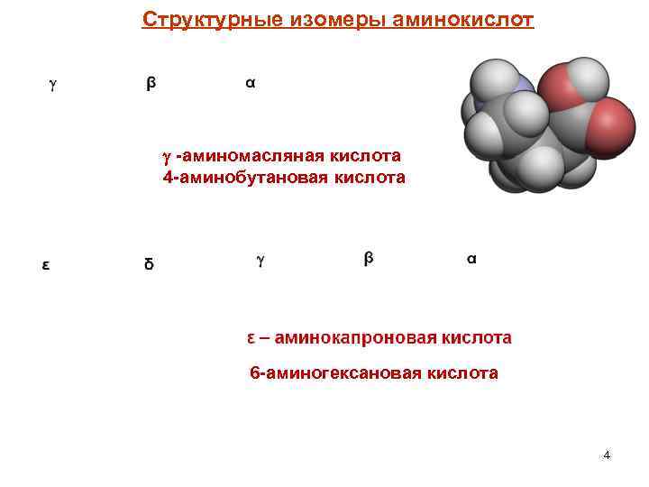 Структурные изомеры аминокислот -аминомасляная кислота 4 -аминобутановая кислота 6 -аминогексановая кислота 4 