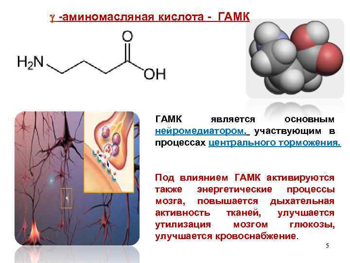 Γ-аминомасляная кислота (ГАМК). Гамма аминомасляная кислота биологическая роль. Структурная формула аминомасляной кислоты. Альфа бета гамма аминомасляная кислота.