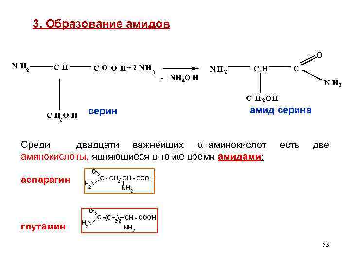 3. Образование амидов O N H 2 CH C O O H + 2