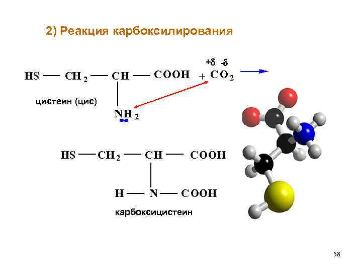 2) Реакция карбоксилирования + - HS CH 2 CH COOH + C O 2