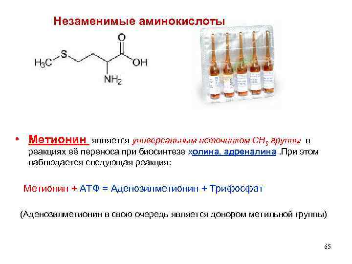 Незаменимые аминокислоты • Метионин является универсальным источником СН 3 группы в реакциях её переноса