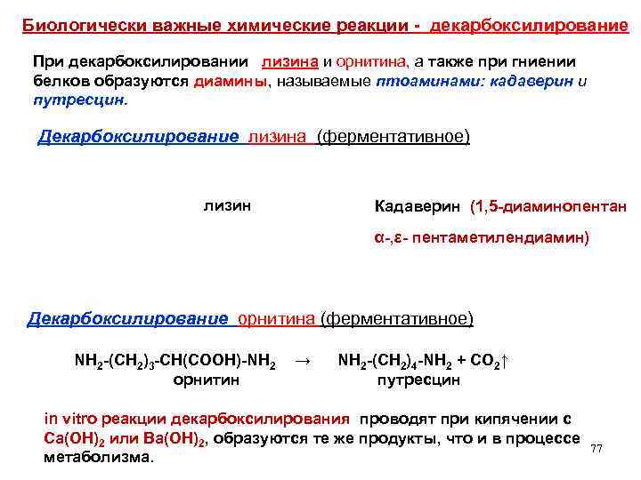 Биологически важные химические реакции - декарбоксилирование При декарбоксилировании лизина и орнитина, а также при