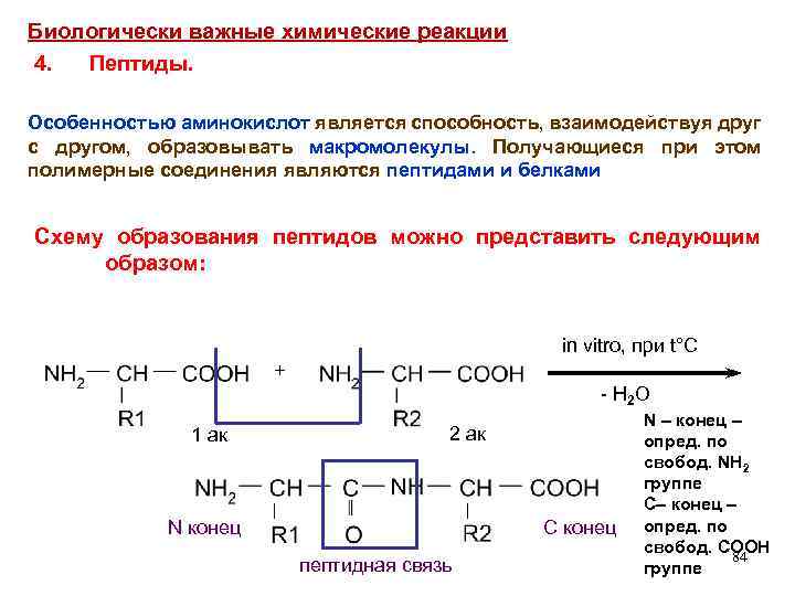 Биологически важные химические реакции 4. Пептиды. Особенностью аминокислот является способность, взаимодействуя друг с другом,