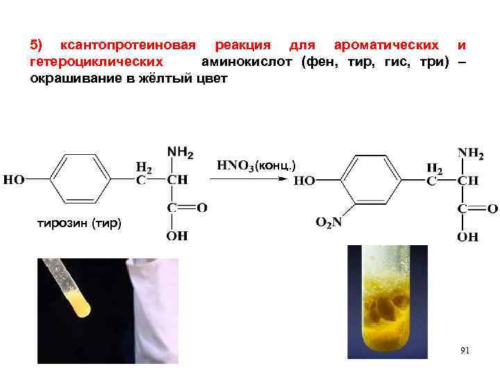 5) ксантопротеиновая реакция для ароматических и гетероциклических аминокислот (фен, тир, гис, три) – окрашивание