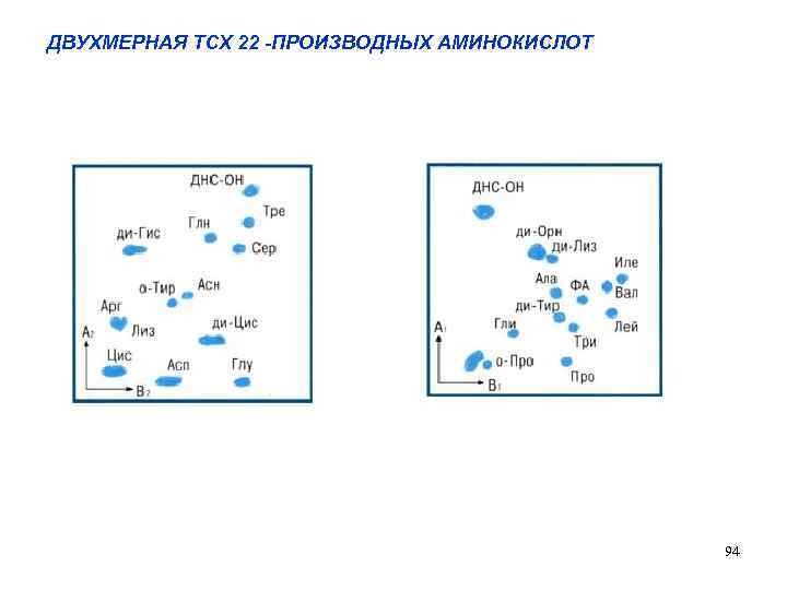 ДВУХМЕРНАЯ ТСХ 22 -ПРОИЗВОДНЫХ АМИНОКИСЛОТ 94 