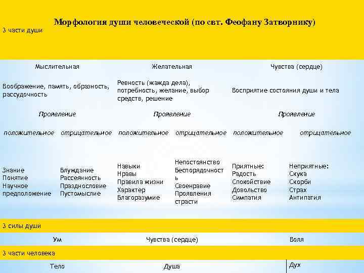 Морфология души человеческой (по свт. Феофану Затворнику) 3 части души Мыслительная Воображение, память, образность,