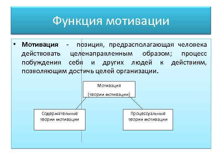 Функция мотивации • Мотивация - позиция, предрасполагающая человека действовать целенаправленным образом; процесс побуждения себя