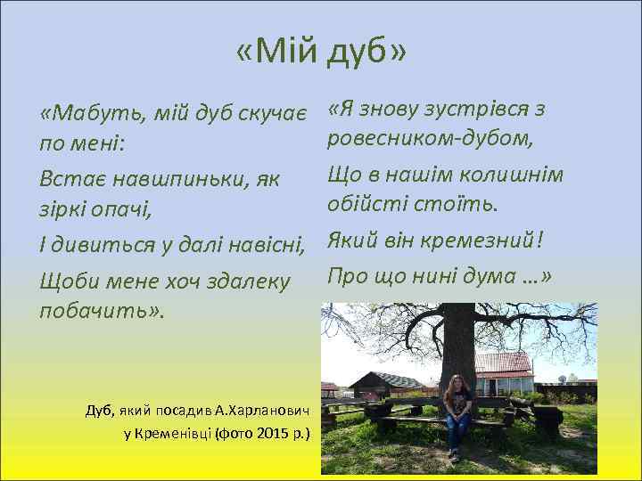  «Мій дуб» «Мабуть, мій дуб скучає по мені: Встає навшпиньки, як зіркі опачі,