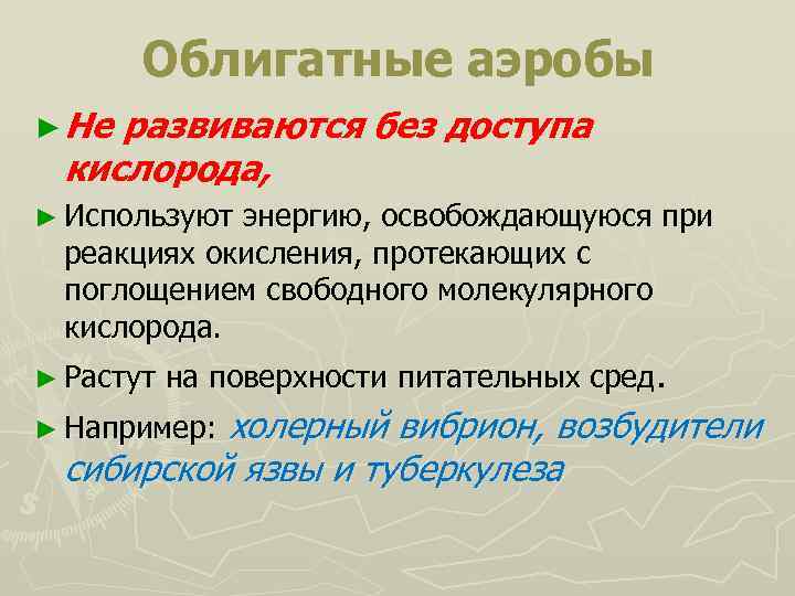 Облигатные аэробы ► Не развиваются без доступа кислорода, ► Используют энергию, освобождающуюся при реакциях