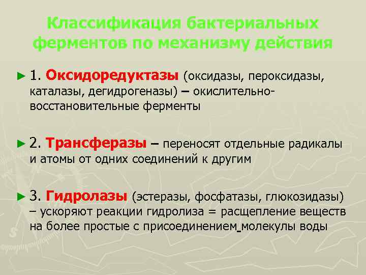 Классификация бактериальных ферментов по механизму действия ► 1. Оксидоредуктазы (оксидазы, пероксидазы, каталазы, дегидрогеназы) –