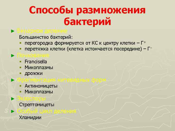 Способы размножения бактерий ► Бинарное деление ► Почкование ► Фрагментация нитевидных форм ► Экзоспоры