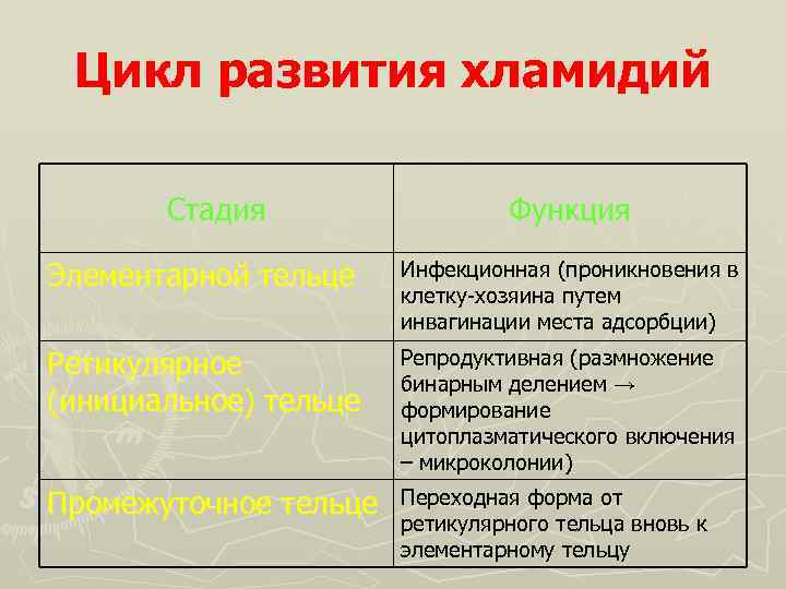 Цикл развития хламидий Стадия Функция Элементарной тельце Инфекционная (проникновения в клетку-хозяина путем инвагинации места