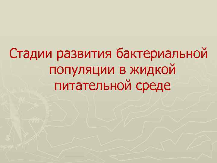 Стадии развития бактериальной популяции в жидкой питательной среде 