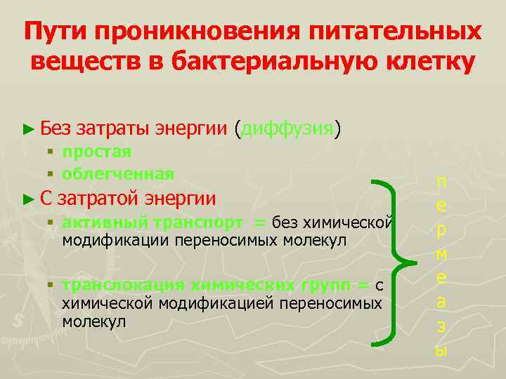 Пути проникновения питательных веществ в бактериальную клетку ► Без затраты энергии (диффузия) § простая