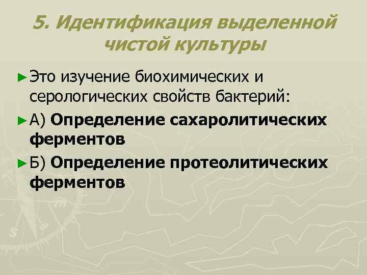 5. Идентификация выделенной чистой культуры ► Это изучение биохимических и серологических свойств бактерий: ►