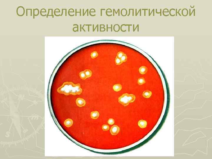 Определение гемолитической активности 