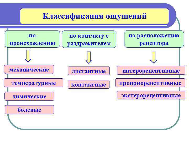 Классификация ощущений по происхождению механические температурные химические болевые по контакту с раздражителем по расположению