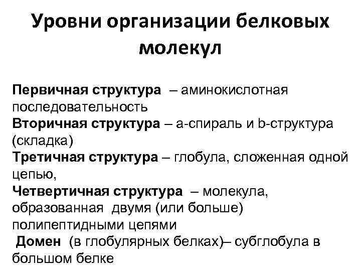 Уровни организации белковых молекул Первичная структура – аминокислотная последовательность Вторичная структура – a-спираль и