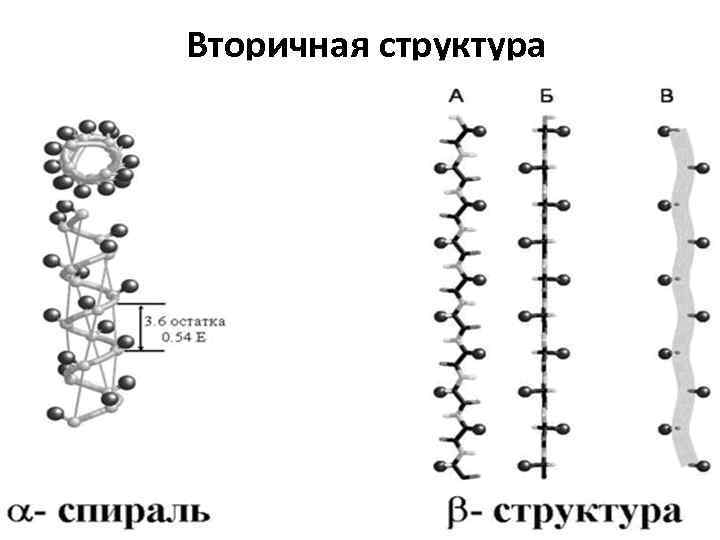 Вторичная структура 