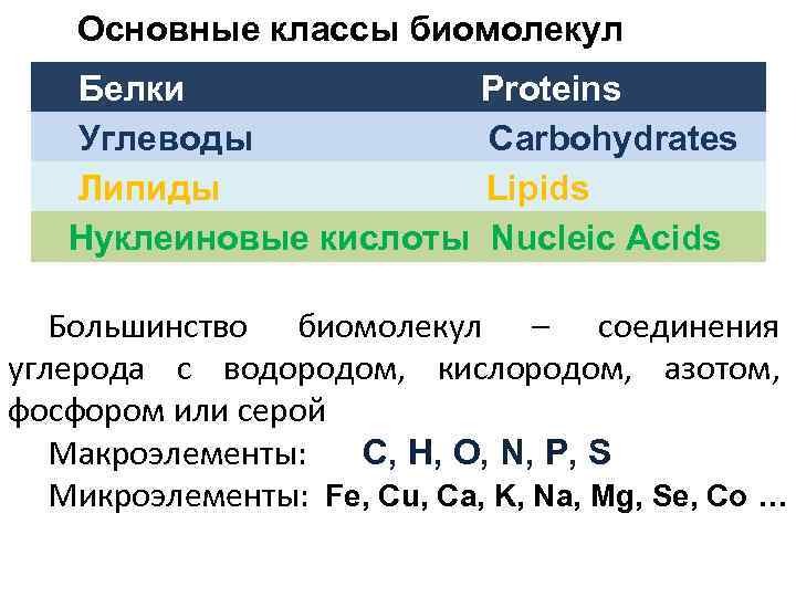  Основные классы биомолекул Белки Proteins Углеводы Carbohydrates Липиды Lipids Нуклеиновые кислоты Nucleic Acids