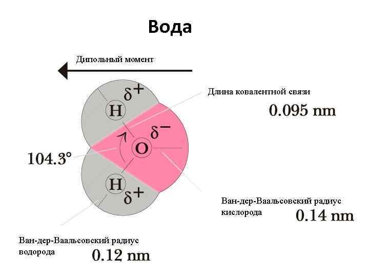 Вода 