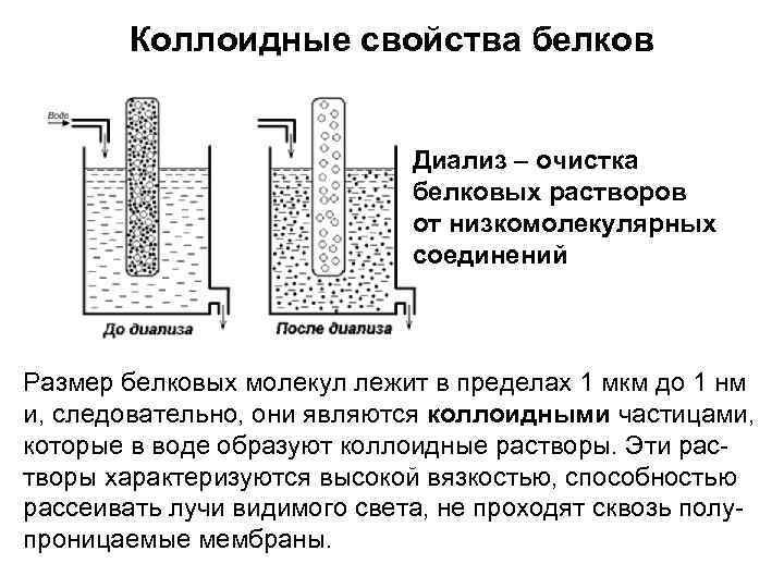 Коллоидный раствор белков