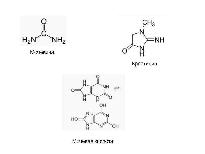 Мочевина кислота