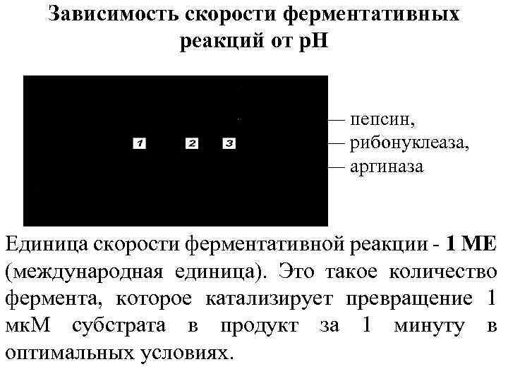 Зависимость скорости ферментативных реакций от р. Н 1 — пепсин, 2 — рибонуклеаза, 3