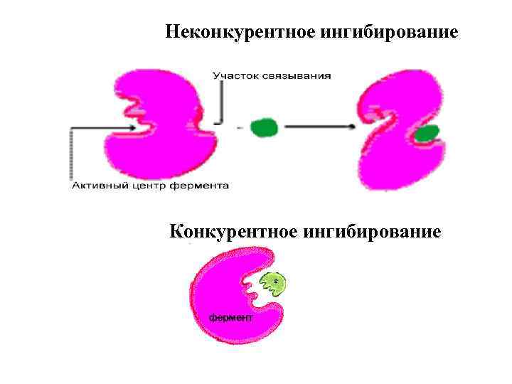 Схема конкурентного ингибирования