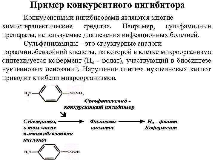 Пример конкурентного ингибитора Конкурентными ингибиторами являются многие химиотерапевтические средства. Например, сульфамидные препараты, используемые для