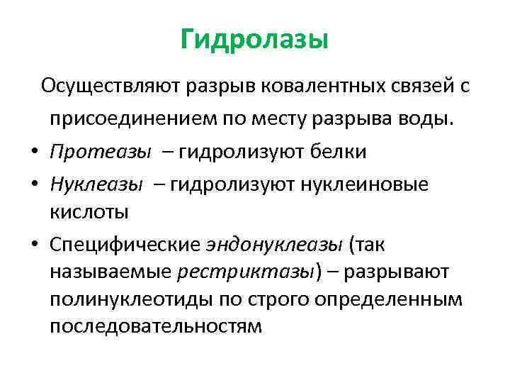 Гидролазы Осуществляют разрыв ковалентных связей с присоединением по месту разрыва воды. • Протеазы –