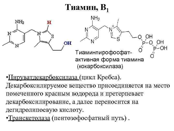 Группа б активная форма. Тиамин в тиаминпирофосфат. Витамин в1 тиамин формула. B1 тиамин формула. Тиаминпирофосфат фермент.