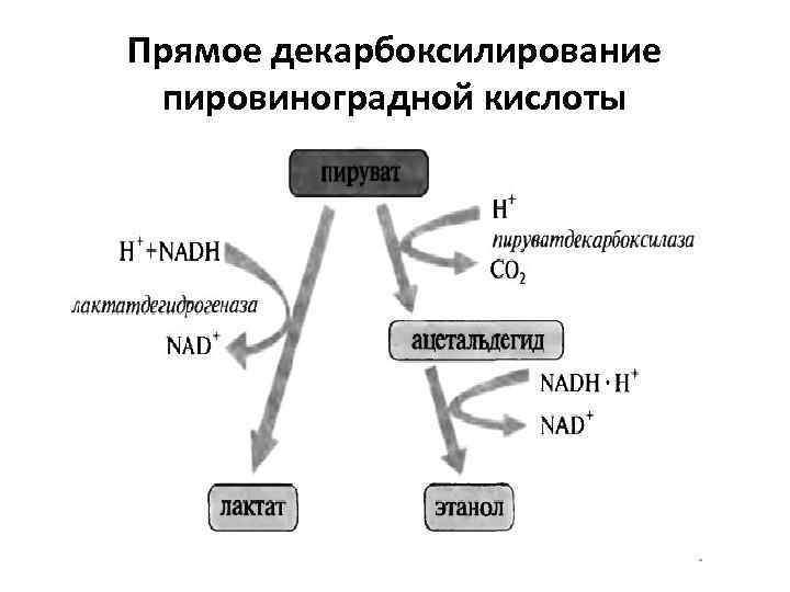 Прямое декарбоксилирование пировиноградной кислоты 