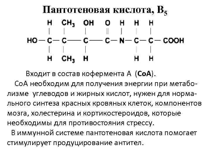 Пантотеновая кислота, B 5 Входит в состав кофермента А (Со. А). Со. А необходим