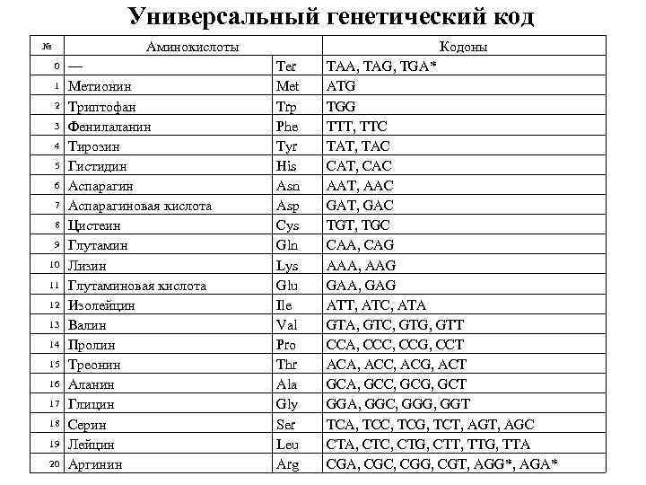 Универсальный генетический код Аминокислоты № 0 1 2 3 4 5 6 7 8