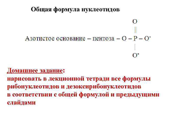 Общая формула нуклеотидов Домашнее задание: нарисовать в лекционной тетради все формулы рибонуклеотидов и дезоксирибонуклеотидов